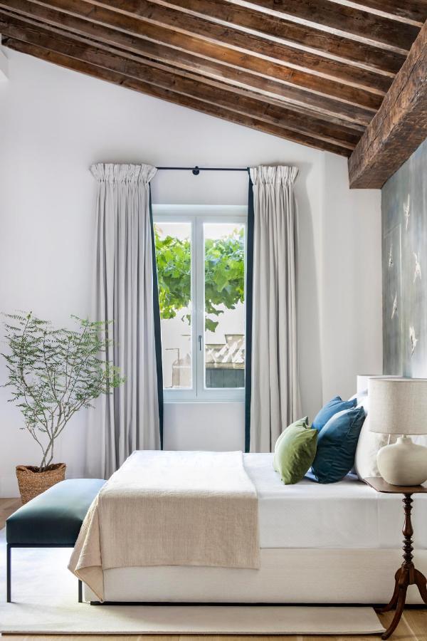 Junior Suite con Terrazza