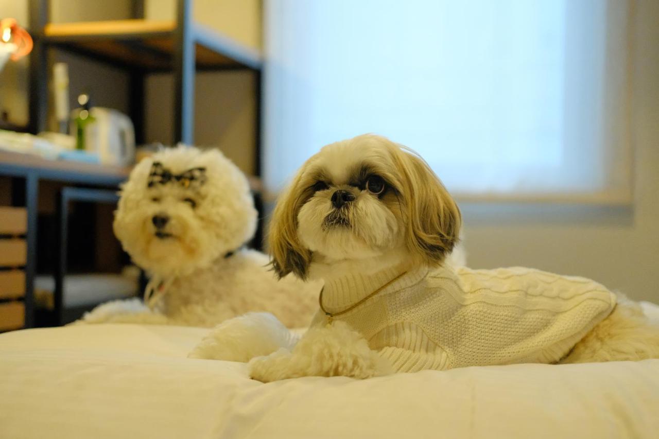 Chambre Lits Jumeaux Deluxe - Non-Fumeurs - 2 Chiens Admis