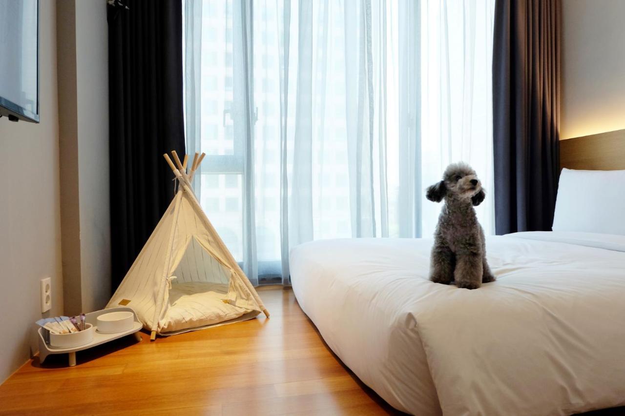 Pet Friendly Deluxe Twin Room