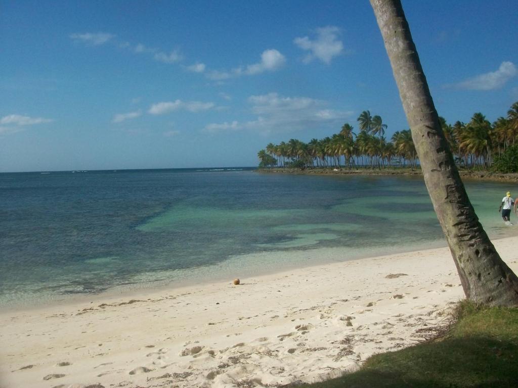 Cabaña Cocunut