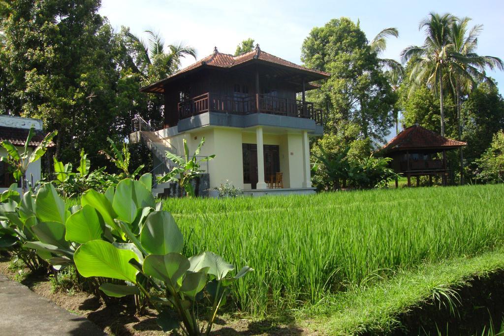 Deluxe Bungalow met uitzicht op de rijstvelden.