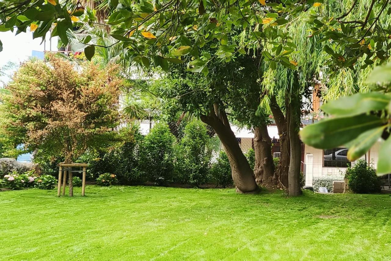 Studio met Uitzicht op de Tuin