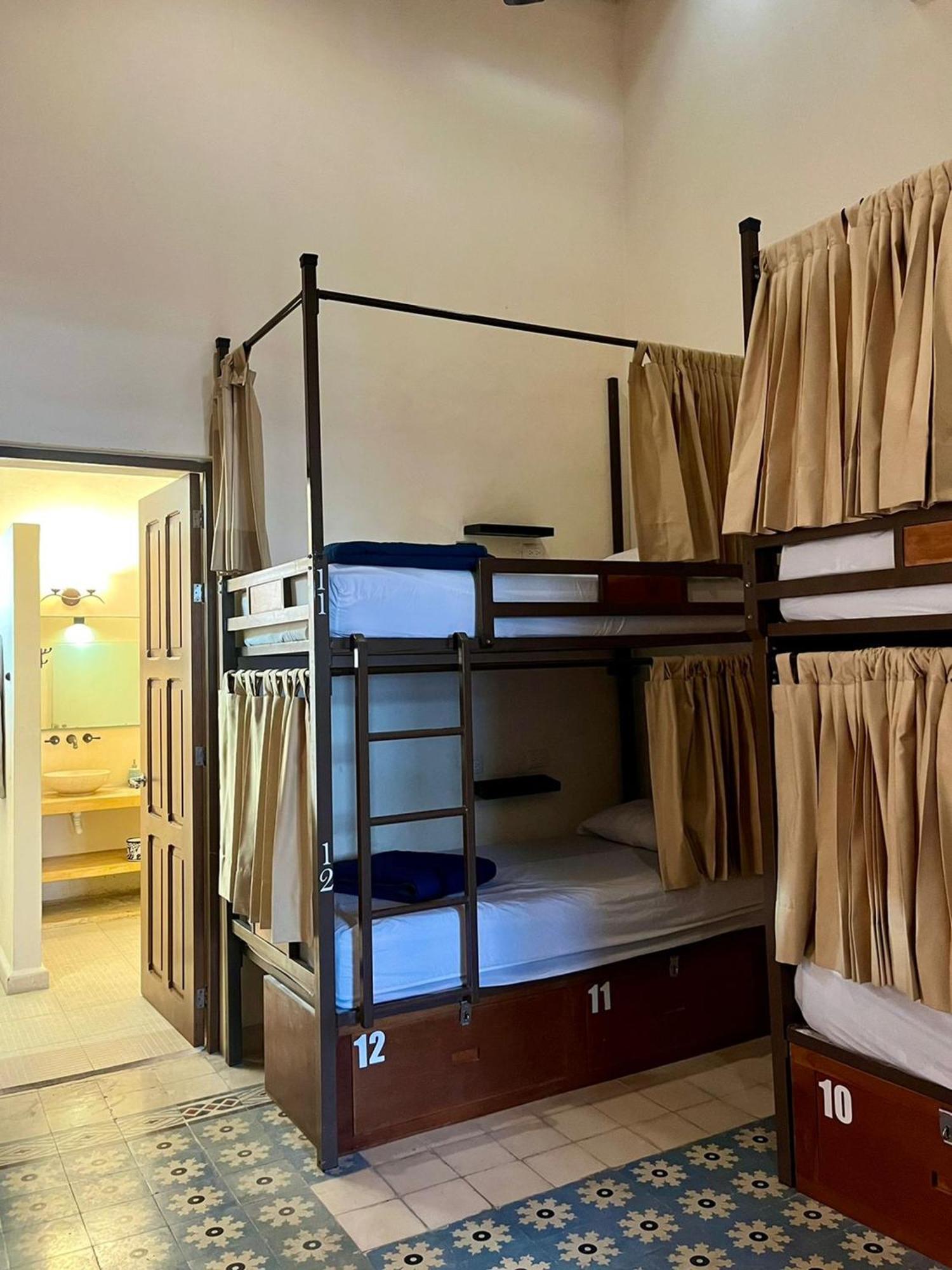 Bunk Bed Mixed Dormitory Room