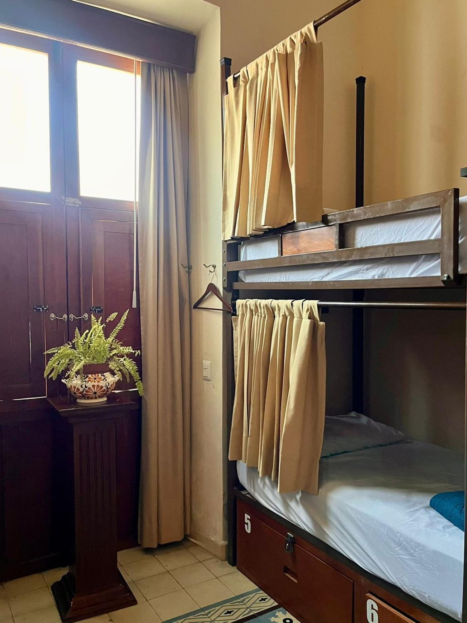 Bunk Bed Mixed Dormitory Room