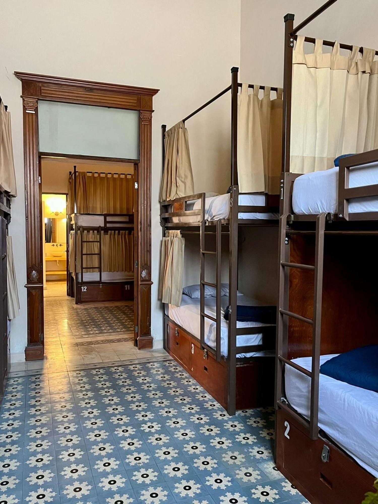 Bunk Bed Mixed Dormitory Room