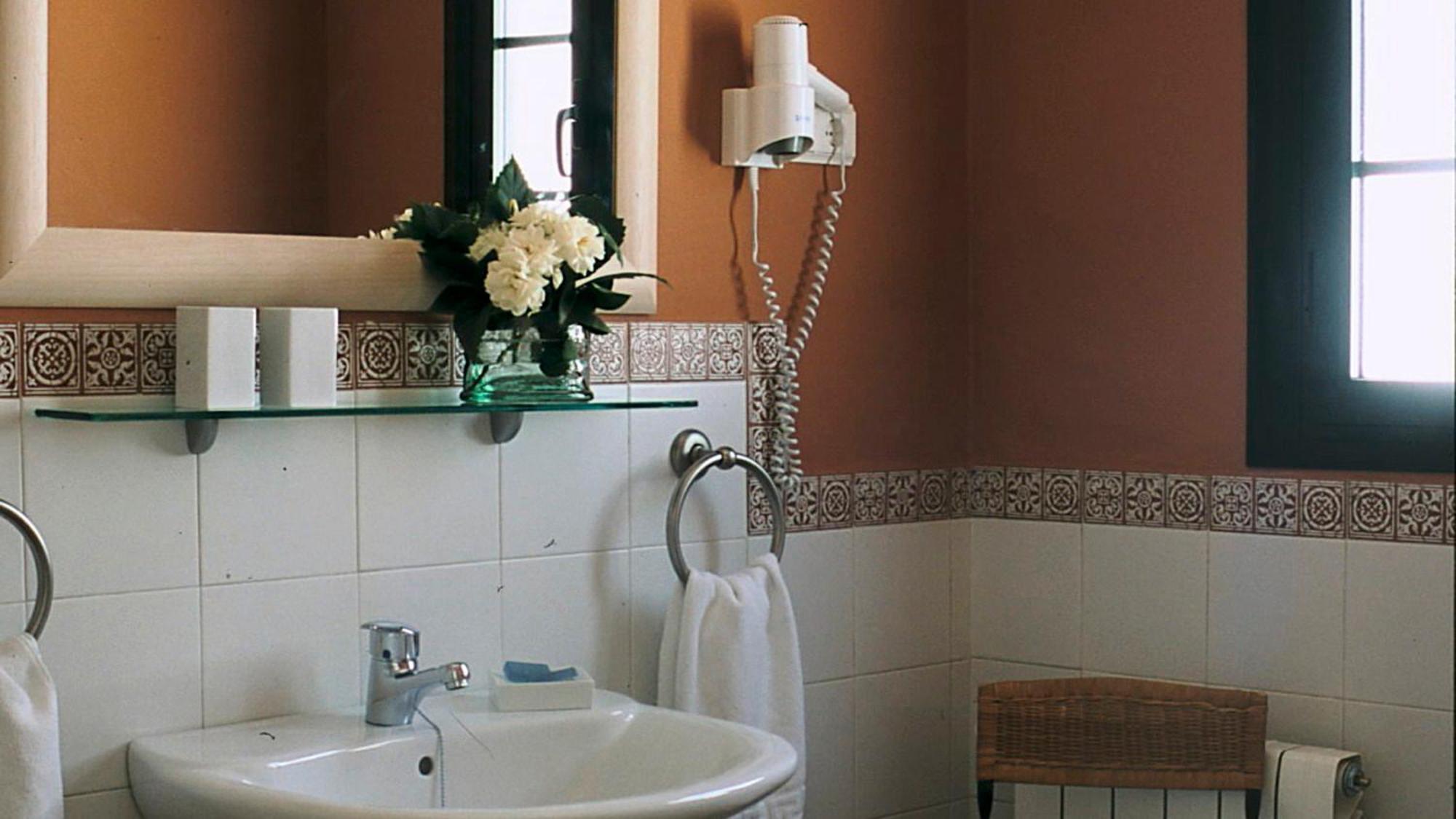 Double or Twin Room Terrace