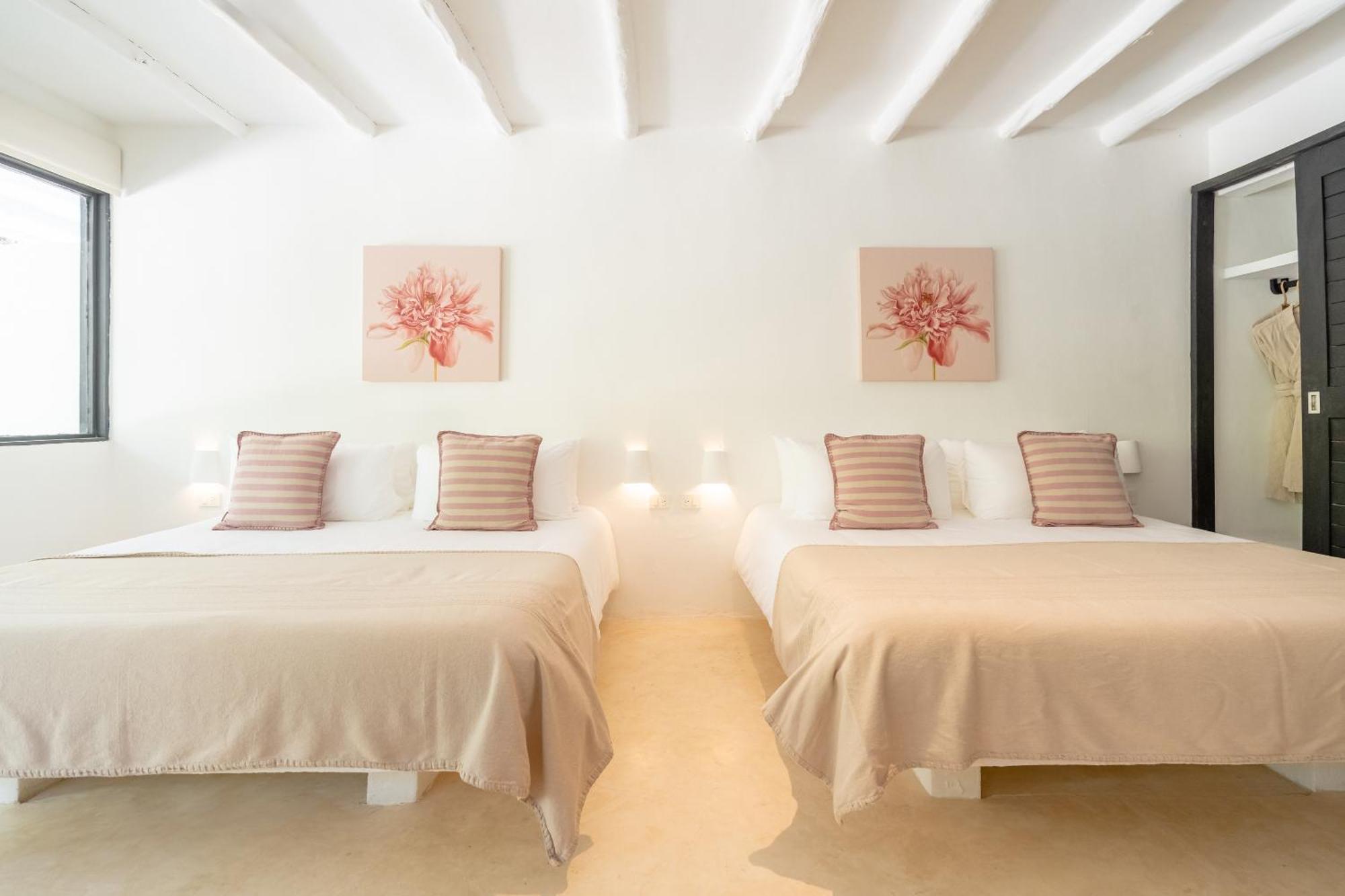 Suite Standard