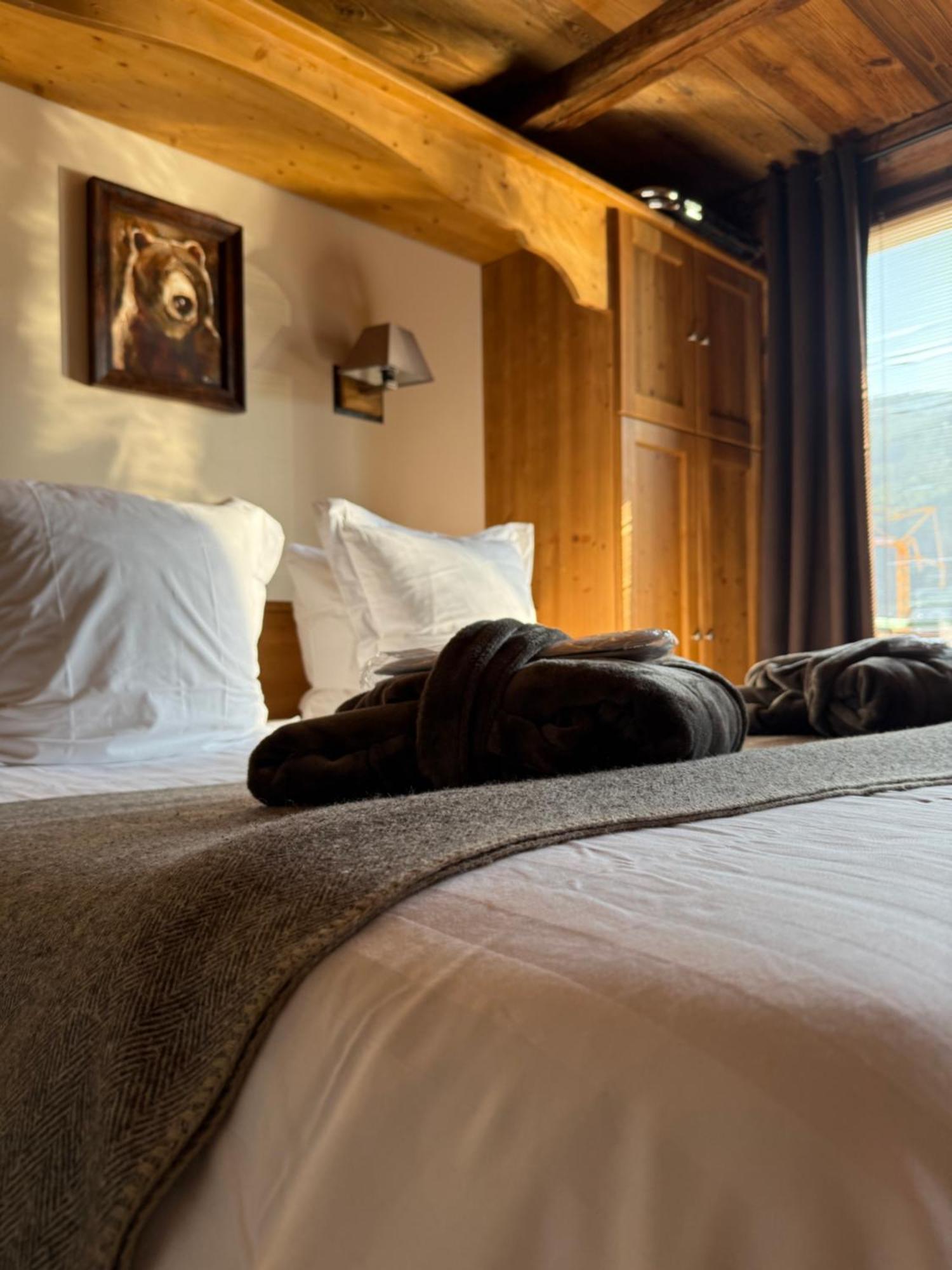Superior Double or Twin Room Mountain View