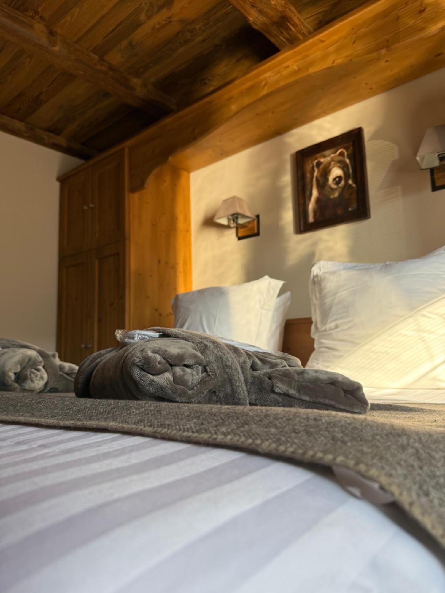 Superior Double or Twin Room Mountain View