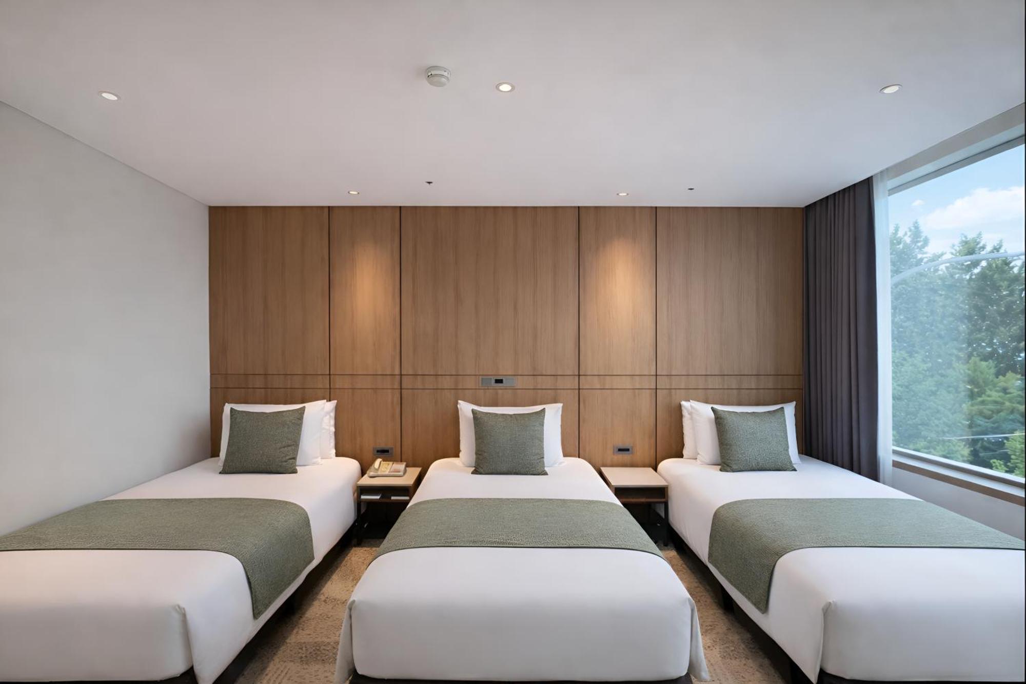 Habitación Triple Estándar
