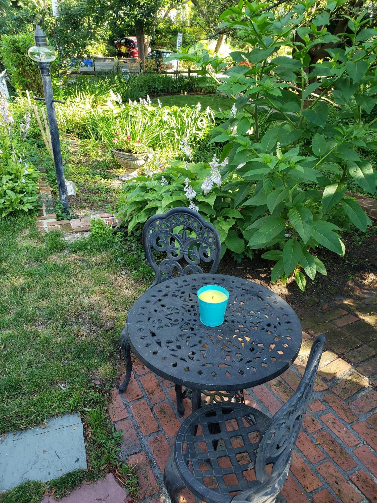 Suite Garden View