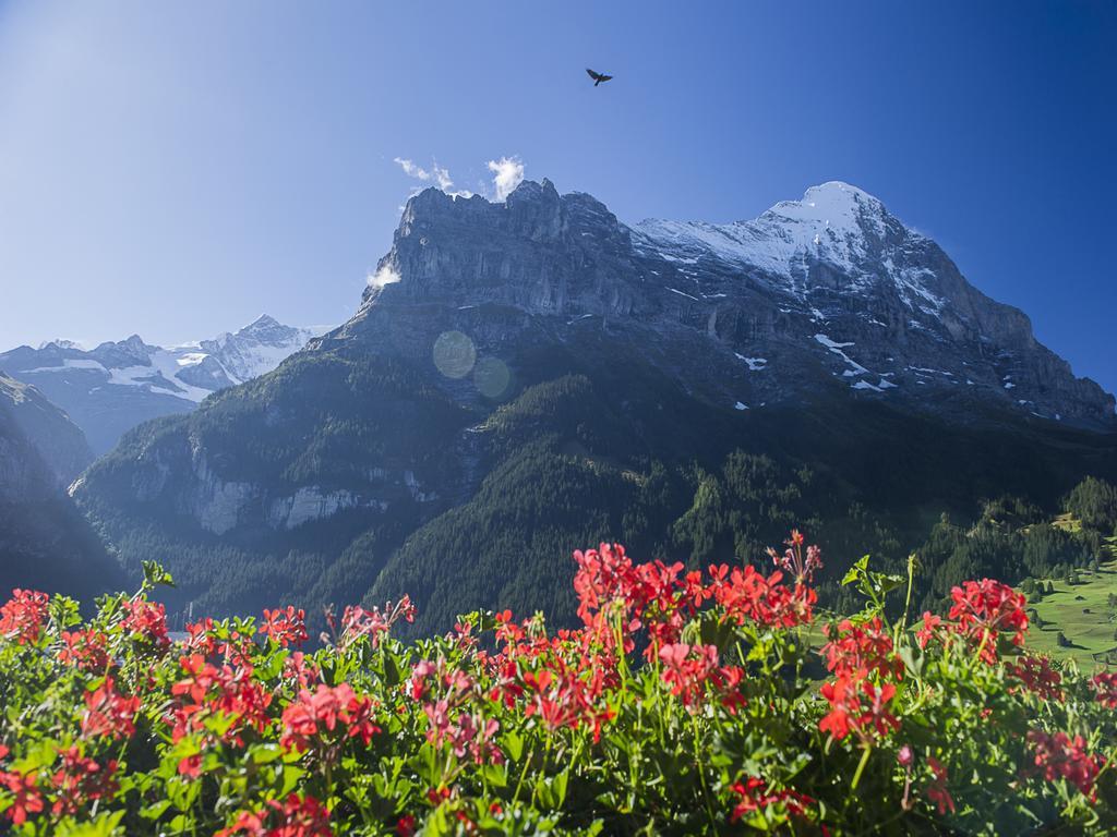 Superior Double Room with Eiger View