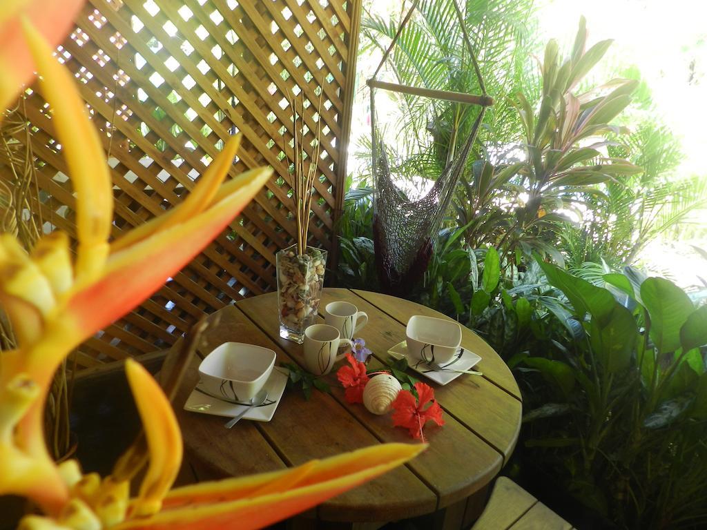 One-Bedroom Apartment,244816521:JPEG