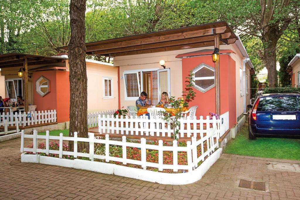 Bungalow,381481162:JPEG