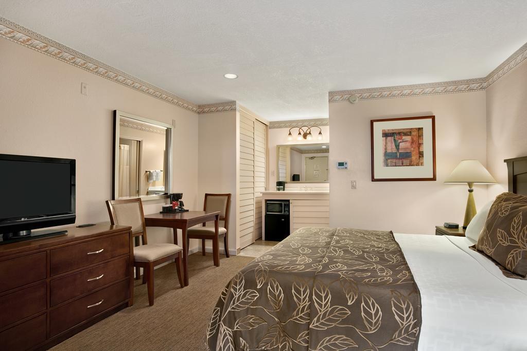 Premier King Room - Non-Smoking,449058561:JPEG