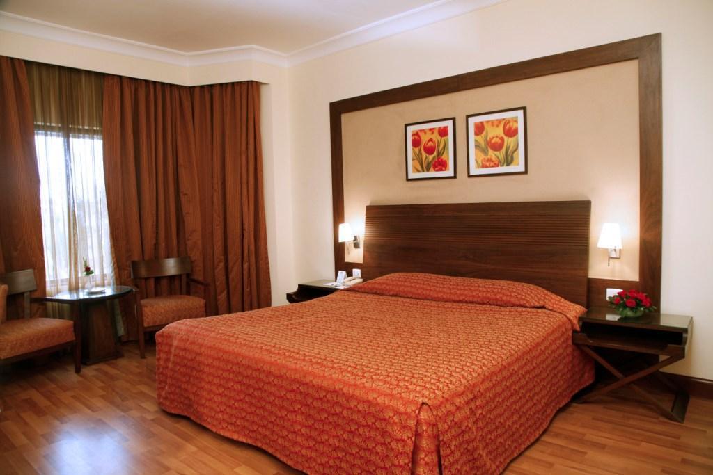 Palm View Deluxe Room King Bed,685936911:JPEG