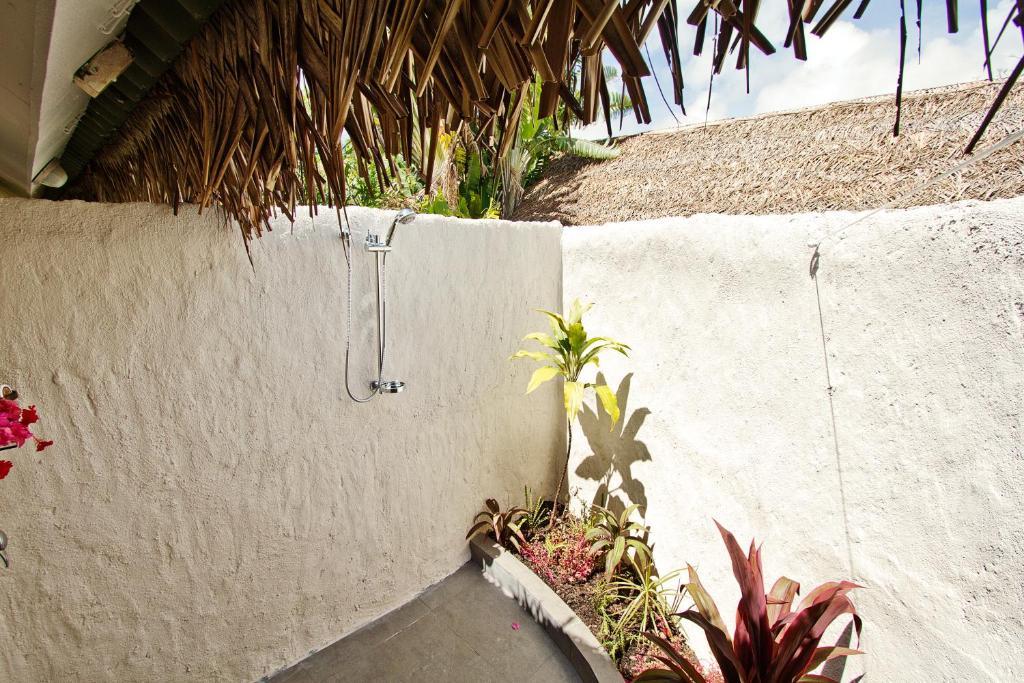 Premium Garten Suite