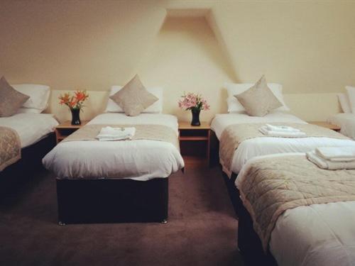 Executive Triple Room