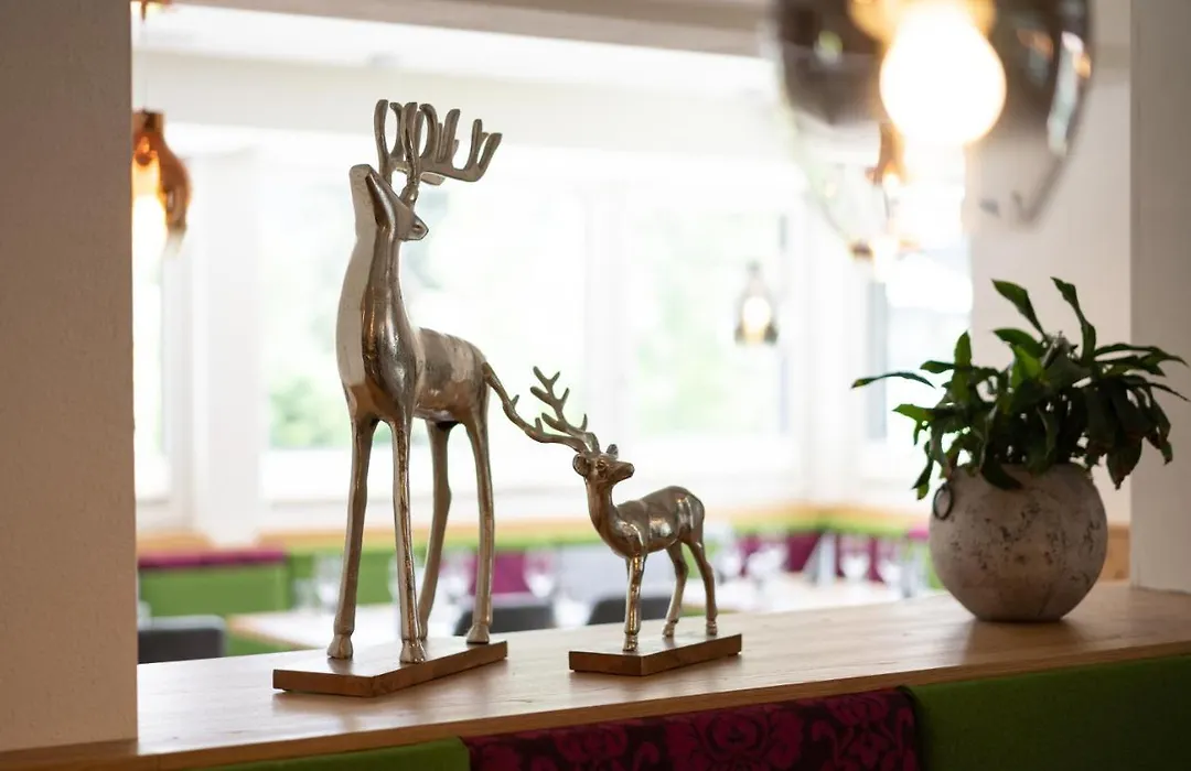 Wander- Und Familienhotel Erika-1