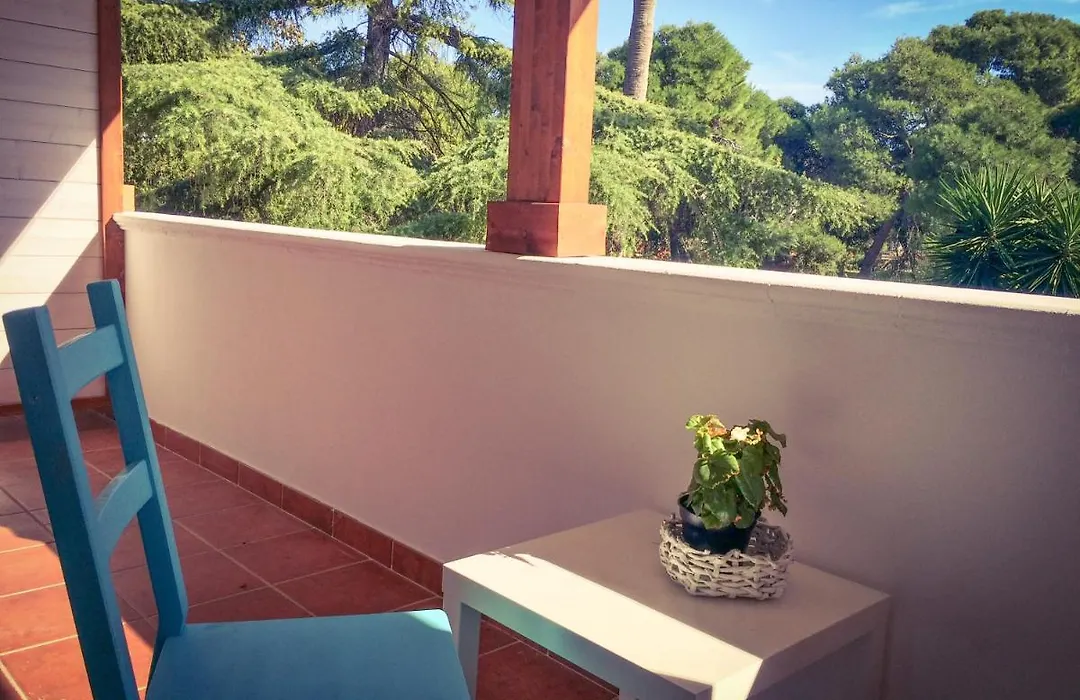 B&B La Rosa dei Venti-1