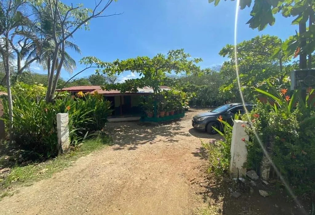 Coco Verde-1