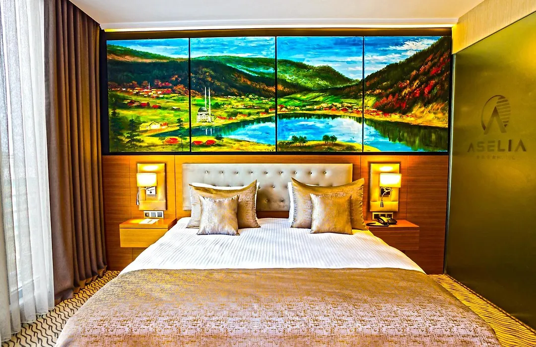 Aselia Hotel Trabzon-1