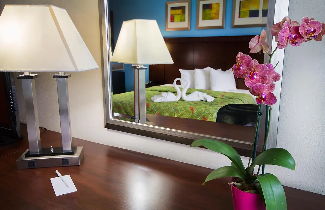 Ramada By Wyndham Flamingo Water Park-1