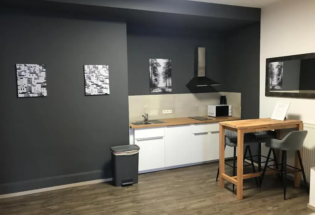 Maxim Apartments Mainz-1