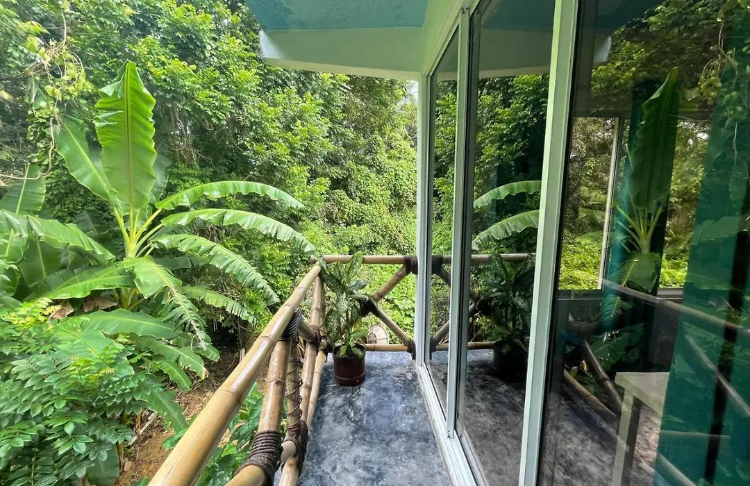 Salvaje Rooms&Restaurant-1