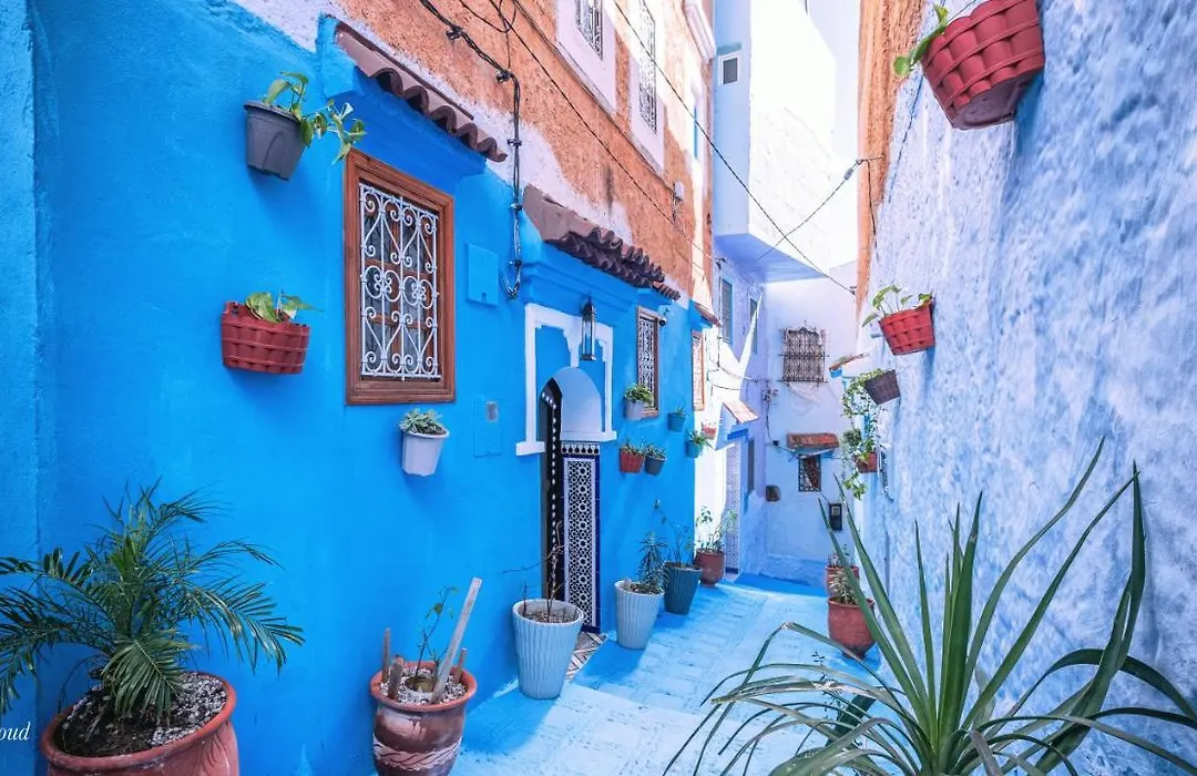Riad Bin Souaki-1