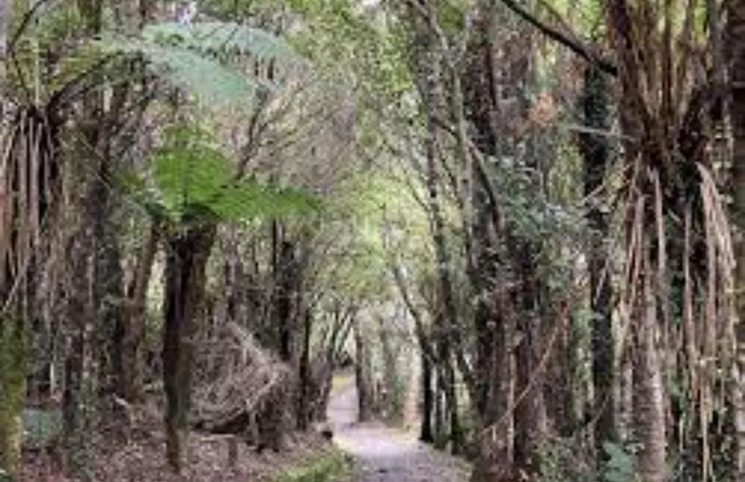 Greymouth Kiwi Holiday Park & Motels-1