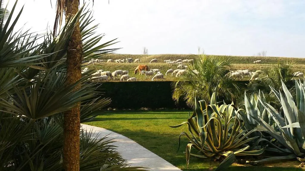 B&B "Corte San Tomaso"-1