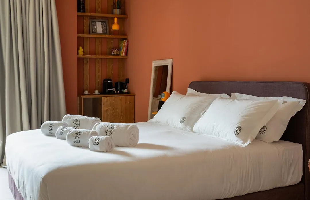 B&B Radici d'Olivo-1