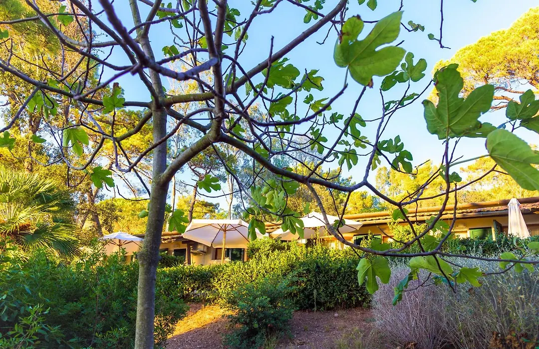 Hotel Villa Ottone-1