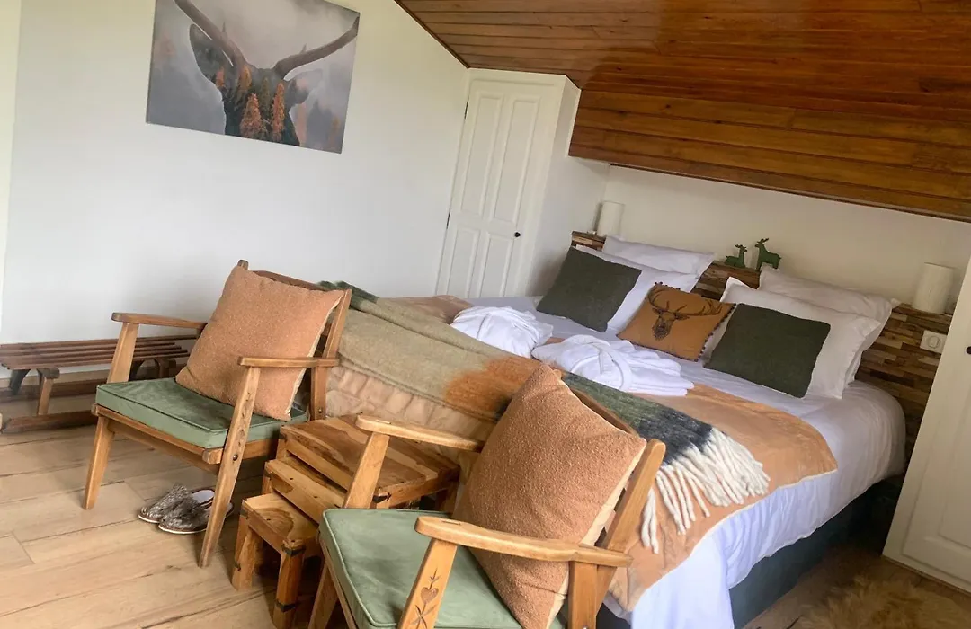 Chalet Le Tilleul-1