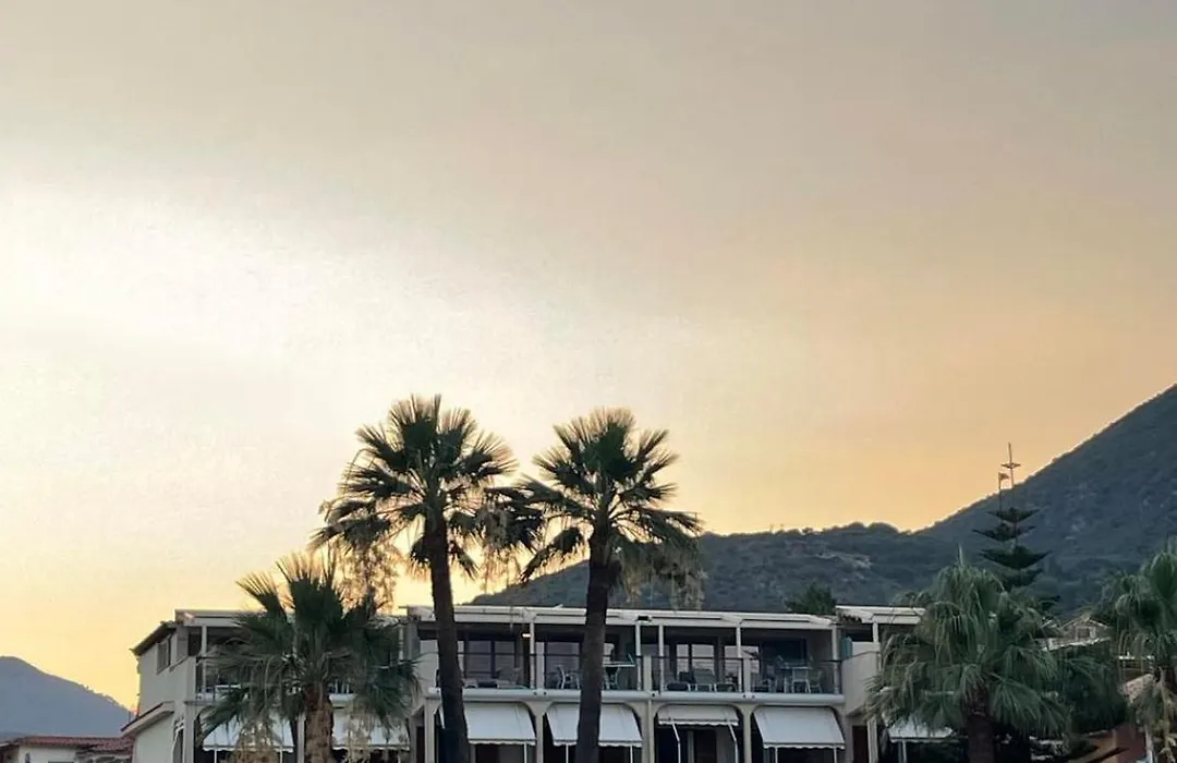 Palm Trees Hotel-1