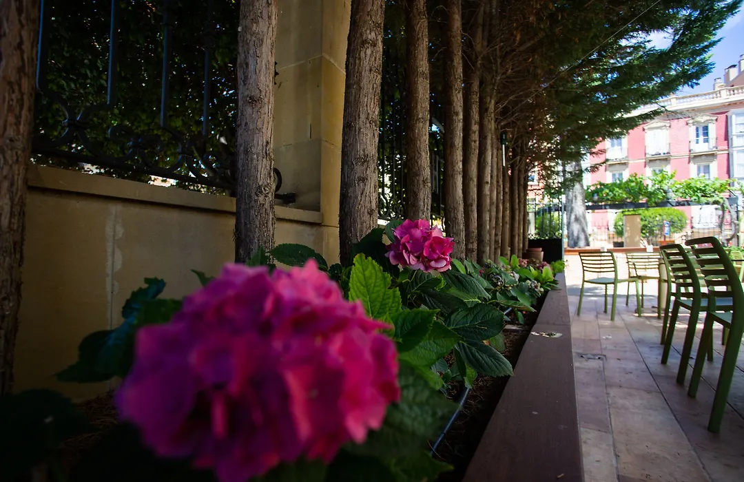 Hotel Arrope-1