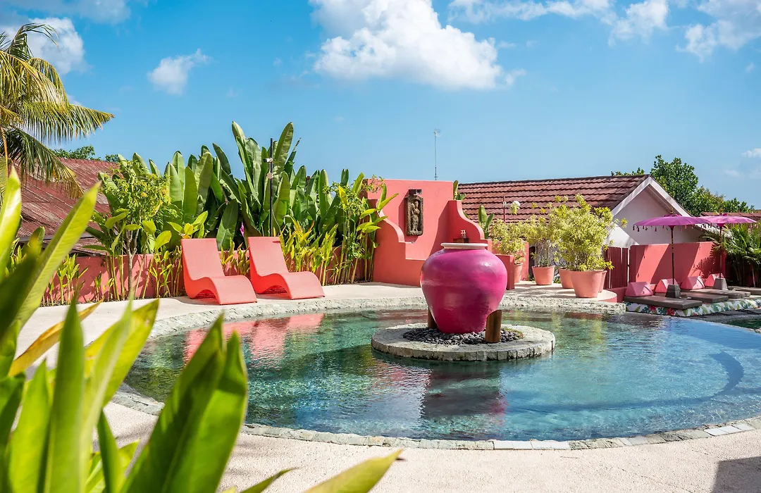 Pinkcoco Uluwatu - Constant Surprises & For Cool Adults Only-1