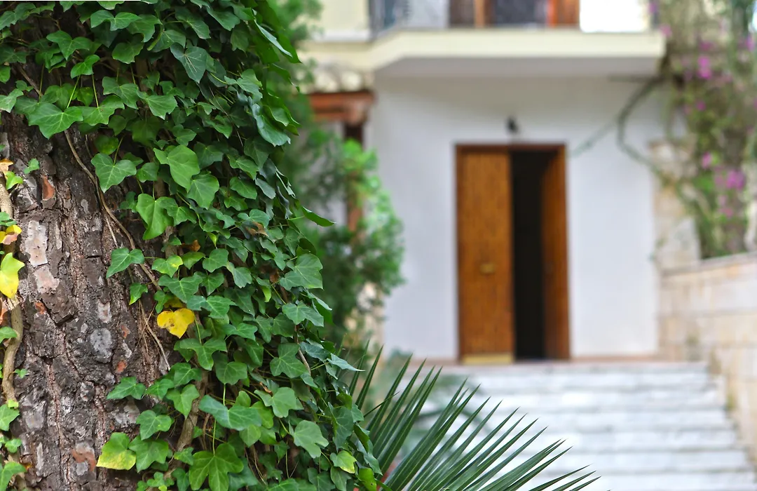 B&B Viale dei Pini-1