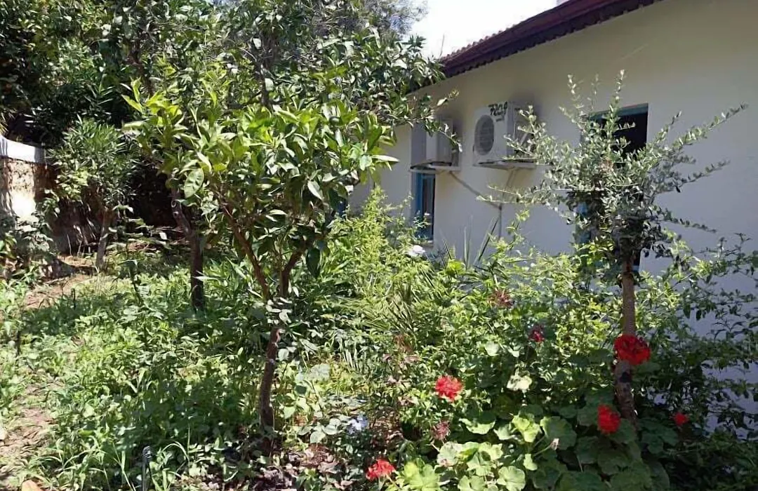 Kas Lemon Hotel-1