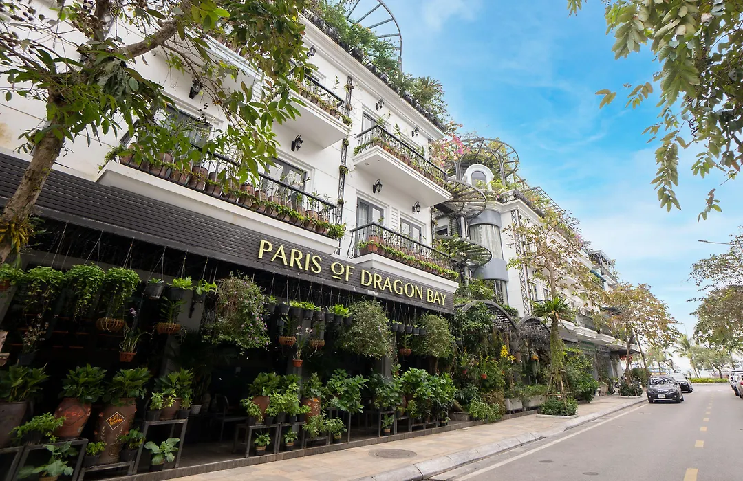 Paris Of Dragon Bay-1
