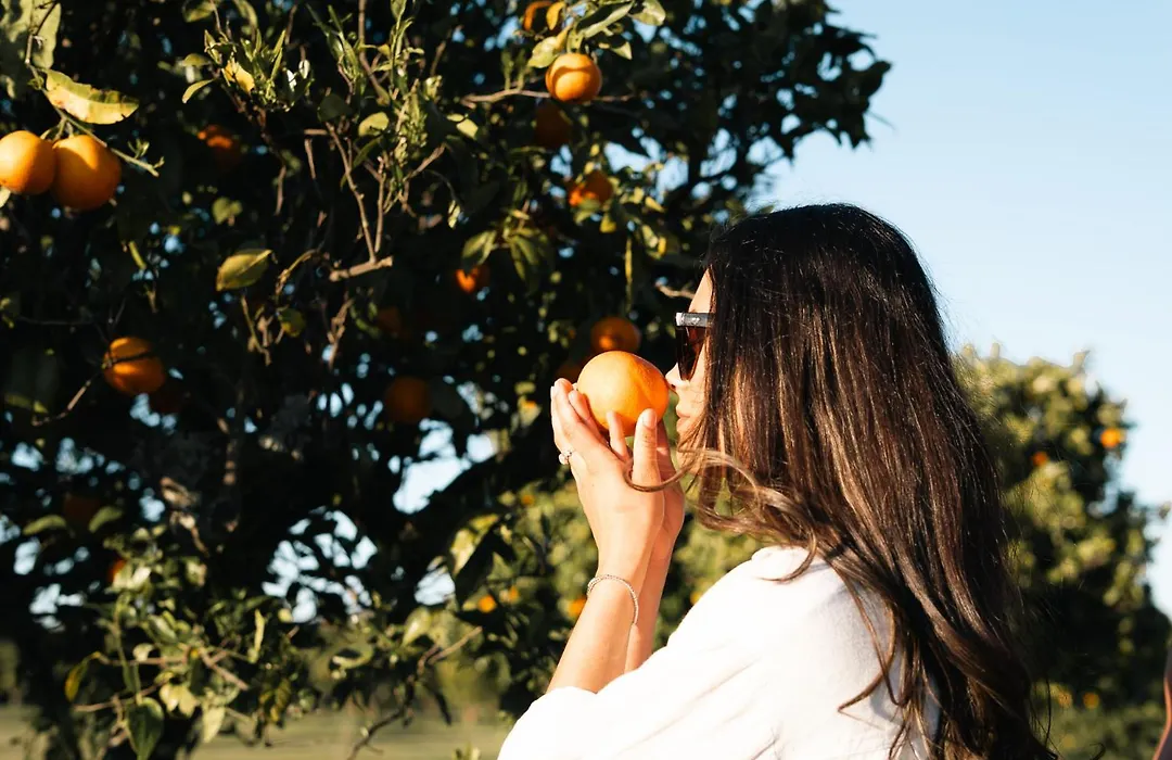 Quinta Da Luz - A Luxury Boutique B&B-1