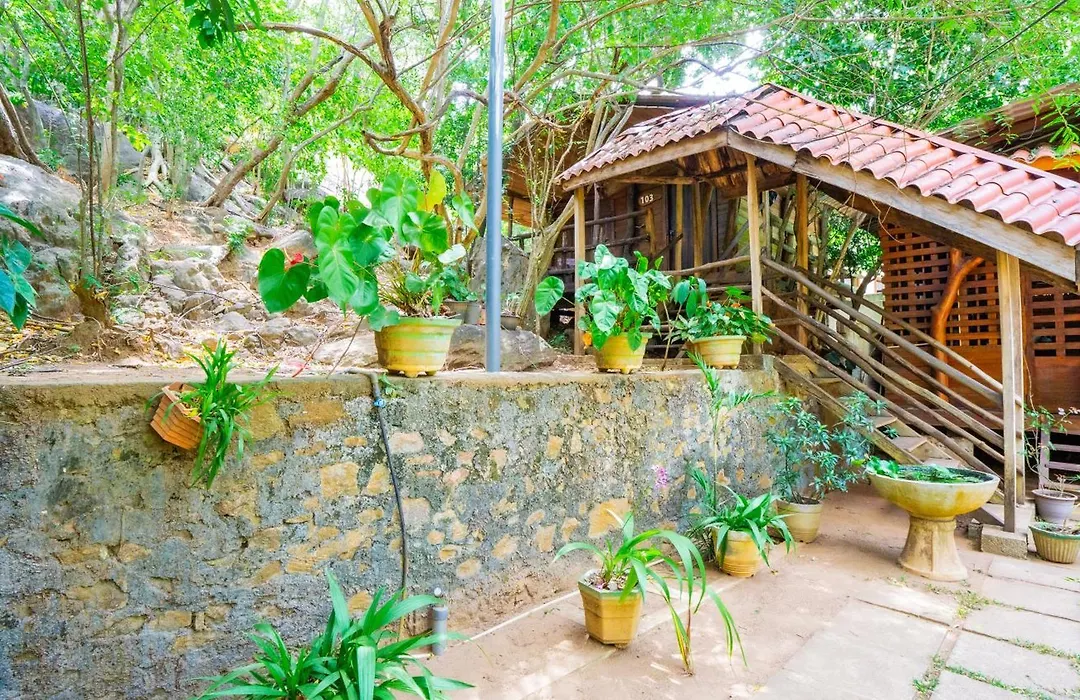 Golden Rainbow Guest House-1