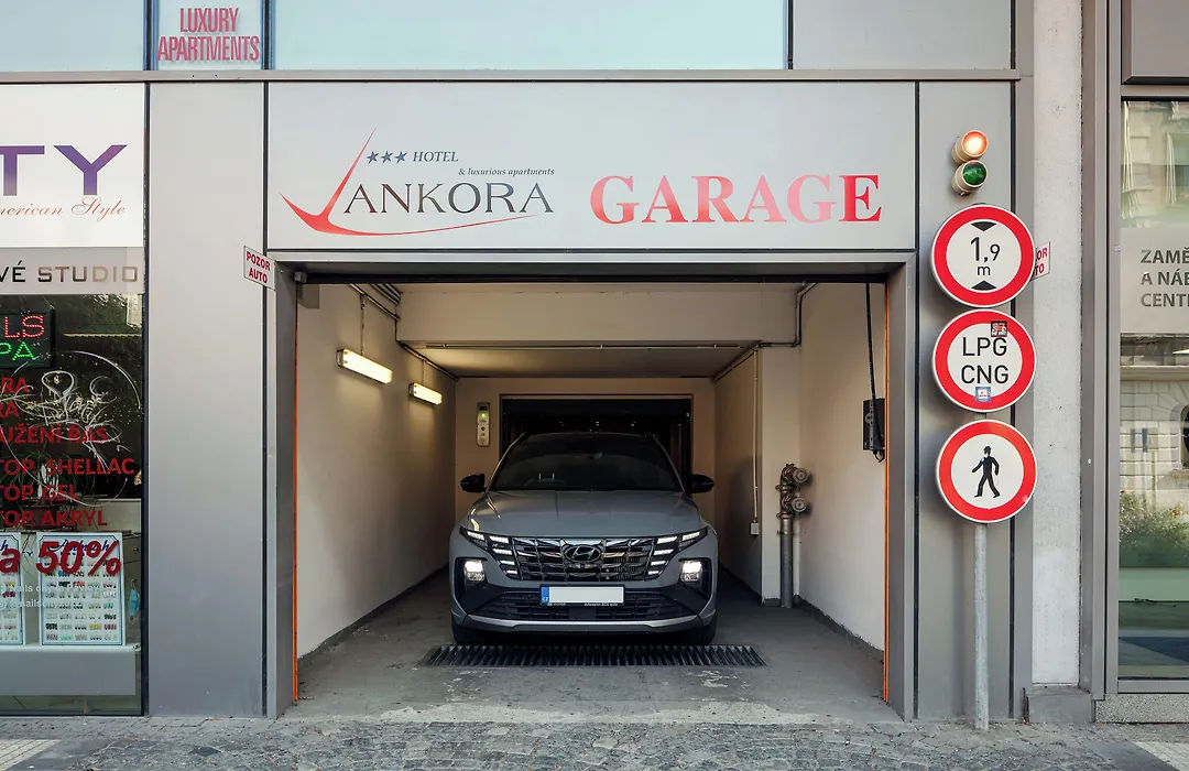 Hotel Ankora-1