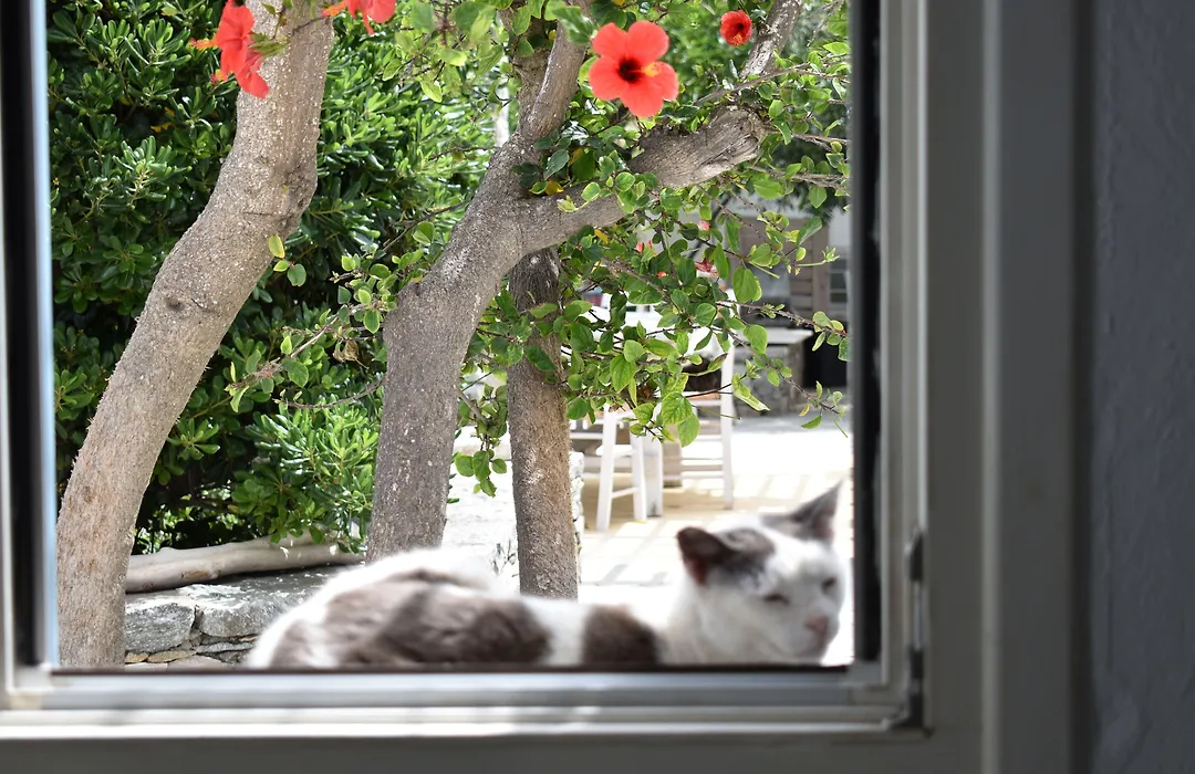 Andriani'S Guest House-1