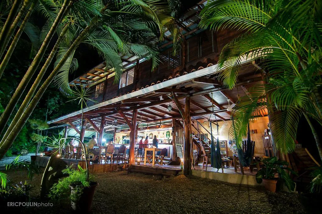 Funky Monkey Lodge-1