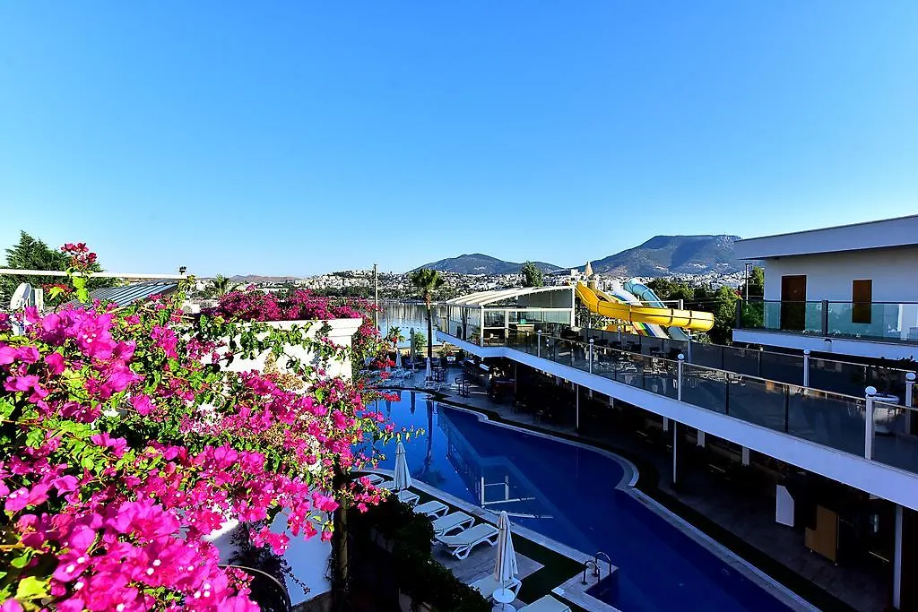 Tropicana Beach-1