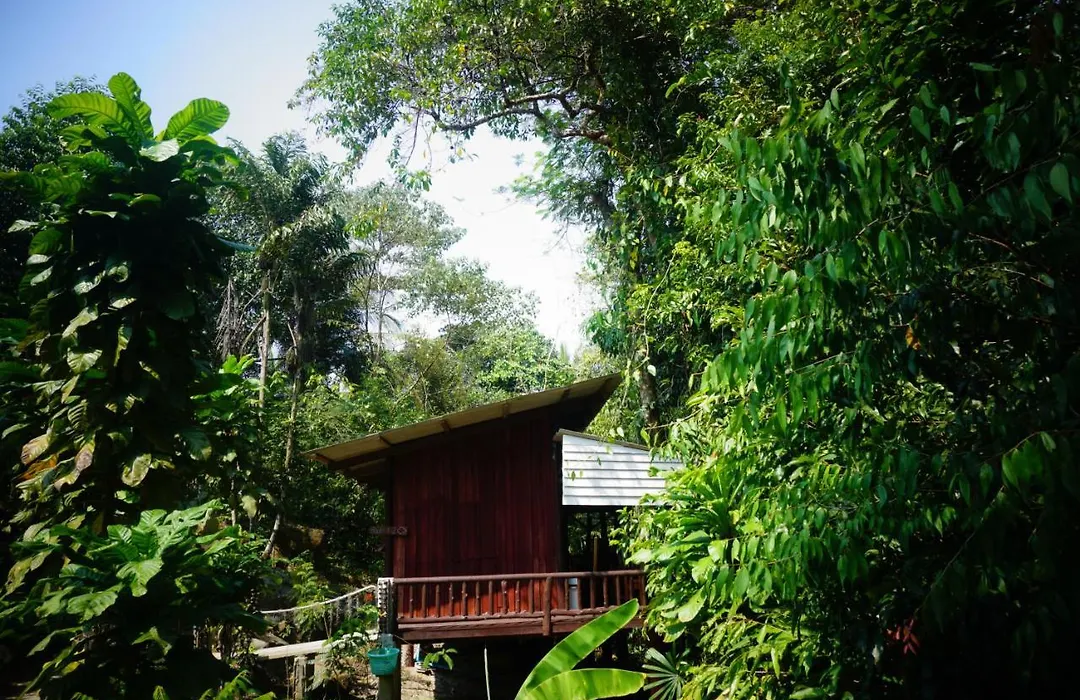 Wooden Hut Koh Kood-1