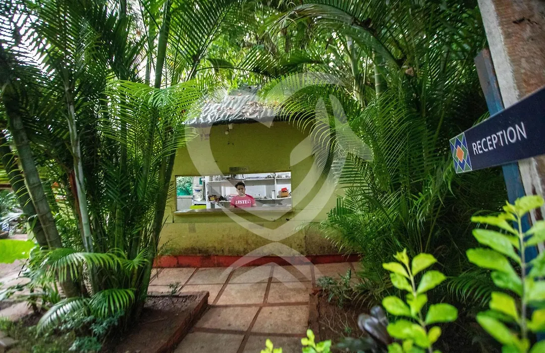 Zulu Land Cottages - Near Curlies Beach Shack And Shiva Valley - Anjuna Beach-1