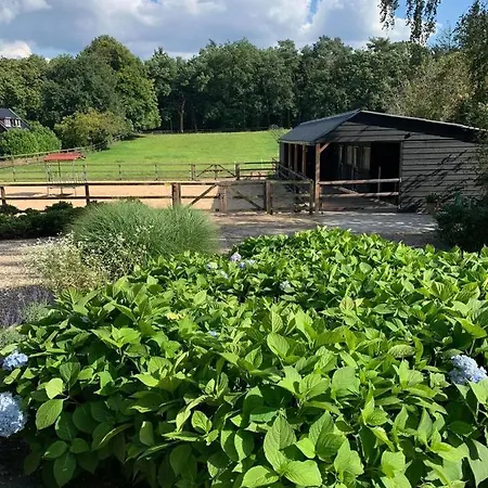 Bed&Breakfast De Paalberg-3